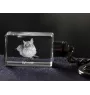 Balinese - Crystal pendant with cat photo, illuminated pendant, unique gift by Art-Dog brand