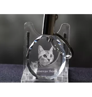 Américain à poil court - Fob with cat photo, crystal key ring in gift box, unique gift by Art-Dog brand