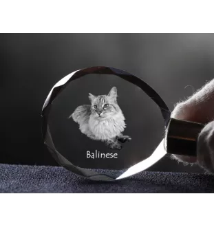 Balinese links - Fob with cat photo, crystal key ring in gift box, unique gift by Art-Dog brand