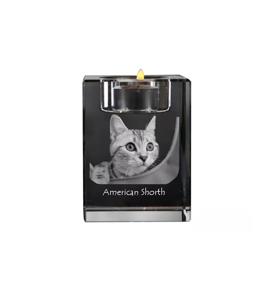 American Shorthair - Candle holder with cat photo, crystal tealight holder, personalised gift by Art-Dog brand