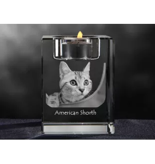 Amerikanisch Kurzhaar - Kerzenhalter mit Katzenfoto, Teelichthalter aus Kristall, personalisiertes Geschenk der Marke Art-Dog