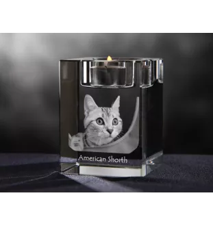 Américain à poil court - Bougeoir avec photo de chat, porte bougie en cristal, cadeau personnalisé par la marque Art-Dog