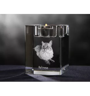 Balinais - Bougeoir avec photo de chat, porte bougie en cristal, cadeau personnalisé par la marque Art-Dog