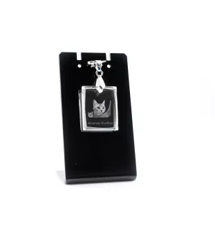 Amerikanisch Kurzhaar - Crystal cat pendant, photo necklace, unique jewellery by Art-Dog