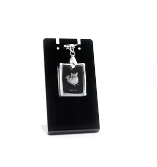 Balinais gauche - Crystal cat pendant, photo necklace, unique jewellery by Art-Dog