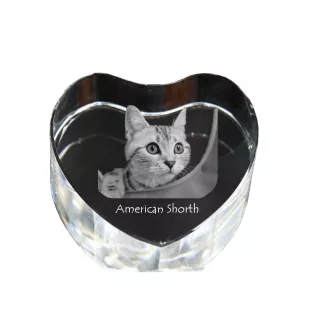 Amerikanisch Kurzhaar - Kristalluhr mit Katzenbild, Herzregal-Uhr, personalisierte Standuhr von Art-Dog.