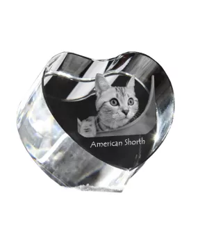 Amerikanisch Kurzhaar - Kristalluhr mit Katzenbild, Herzregal-Uhr, personalisierte Standuhr von Art-Dog.