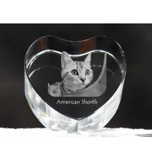 Amerikanisch Kurzhaar - Kristalluhr mit Katzenbild, Herzregal-Uhr, personalisierte Standuhr von Art-Dog.