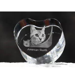 Amerikanisch Kurzhaar - Kristalluhr mit Katzenbild, Herzregal-Uhr, personalisierte Standuhr von Art-Dog.
