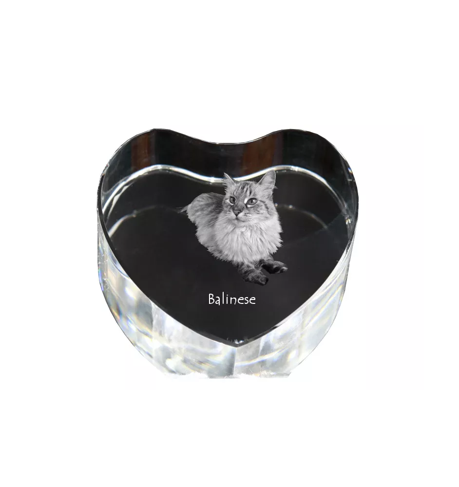 Balinese links - Kristalluhr mit Katzenbild, Herzregal-Uhr, personalisierte Standuhr von Art-Dog.