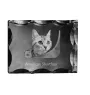 American Shorthair - crystal with a cat picture, glass statuette with a picture, unique frame with a picture from Art-Dog brand
