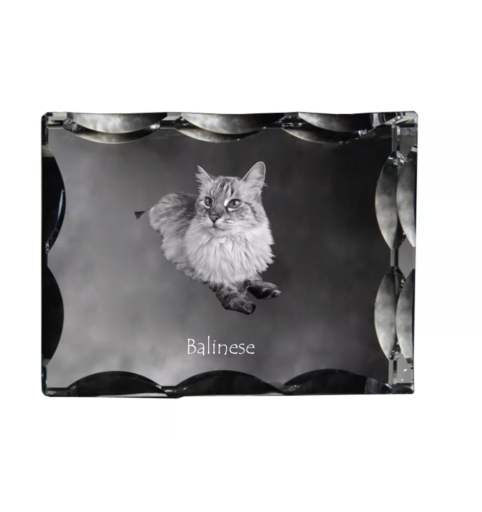 Balinese left - crystal with a cat picture, glass statuette with a picture, unique frame with a picture from Art-Dog brand