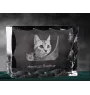 Amerikanisch Kurzhaar - Kristall mit Katzenbild, Glasstatuette mit Bild, einzigartiger Bilderrahmen der Marke Art-Dog