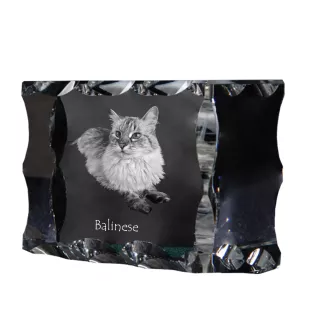 Balinese left - crystal with a cat picture, glass statuette with a picture, unique frame with a picture from Art-Dog brand