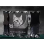 Américain à poil court - cristal avec une photo de chat, une statuette en verre avec une photo, un cadre exceptionnel avec une photo de la marque Art-Dog