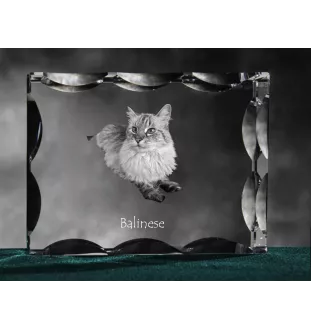 Balinese left - crystal with a cat picture, glass statuette with a picture, unique frame with a picture from Art-Dog brand