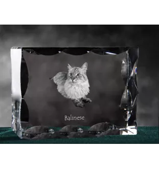 Balinais gauche - cristal avec une photo de chat, une statuette en verre avec une photo, un cadre exceptionnel avec une photo de la marque Art-Dog