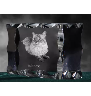 Kot balijski ramka kryształowa z kotem Art-Dog
