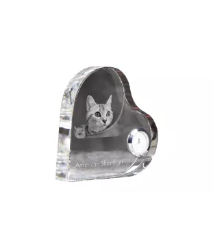 American Shorthair - crystal clock with a picture of a cat, heart-shaped shelf clock, personalized standing clock by Art-Dog brand