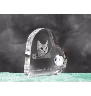 Amerikanisch Kurzhaar - Kristalluhr mit Katzenbild, Herzregal-Uhr, personalisierte Standuhr von Art-Dog.