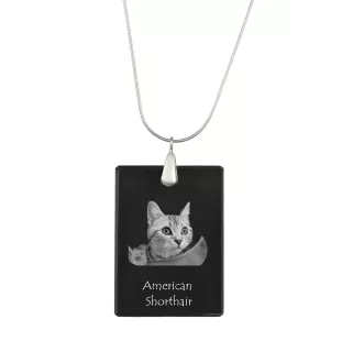 Amerikanisch Kurzhaar - Crystal pendant with cat, silver necklace with photo, personalised pendant by Art-Dog brand