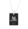 American Shorthair - Crystal pendant with cat, silver necklace with photo, personalised pendant by Art-Dog brand