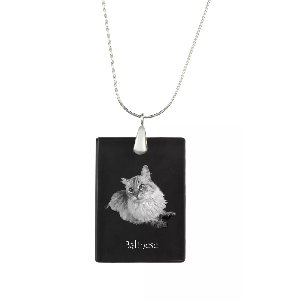 Balinais gauche - Crystal pendant with cat, silver necklace with photo, personalised pendant by Art-Dog brand