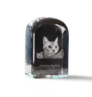 Américain à poil court - un cube en cristal avec une photo, une photo de chat dans le cristal, un presse-papiers cubique de la marque Art-Dog
