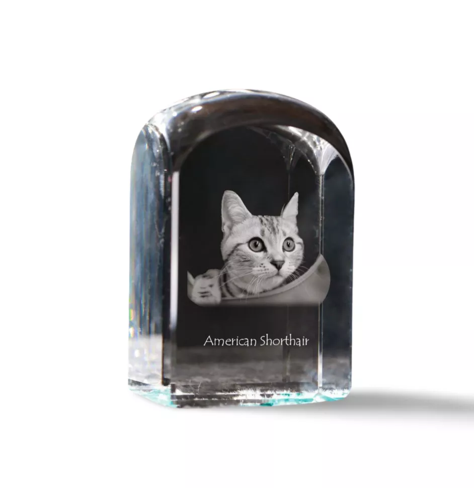 Amerykański krótkowłosy kryształ pieczątka z kotem Art-Dog