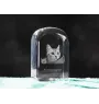 American Shorthair - crystal cube with a photo, photo of a cat in crystal, cubic paperweight from Art-Dog brand