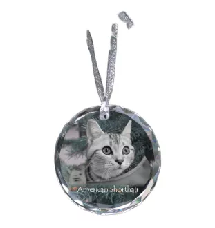 Amerikanisch Kurzhaar - Kristallkugel mit Foto, Katzenfoto im Kristall, personalisierter Weihnachtsbaumanhänger von Art-Dog.