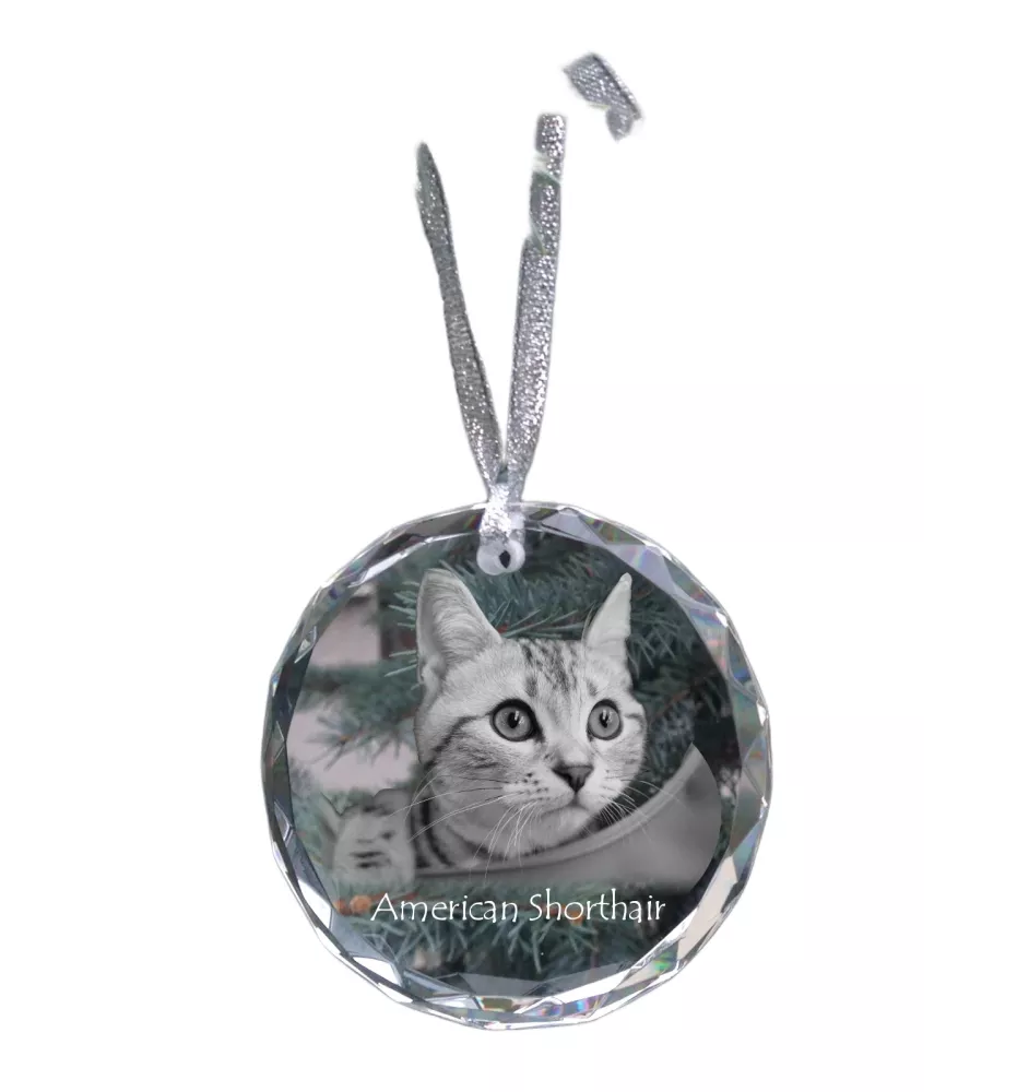 American Shorthair - crystal bauble with a photo, photo of a cat in crystal, personalized Christmas tree ornament by Art-Dog brand