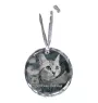 American Shorthair - crystal bauble with a photo, photo of a cat in crystal, personalized Christmas tree ornament by Art-Dog brand