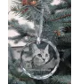 Américain à poil court - boule de Noël en cristal avec une photo, photo d'un chat dans le cristal, décoration personnalisée pour sapin de Noël de la marque Art-Dog