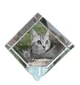 Américain à poil court - un cube en cristal avec une photo de chat, une photo de cheval dans le cristal, un presse-papiers cubique de la marque Art-Dog
