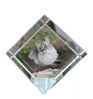 Balinese left - crystal cube with a picture of a cat, crystal with a picture of a horse, cubic paperweight by Art-Dog brand