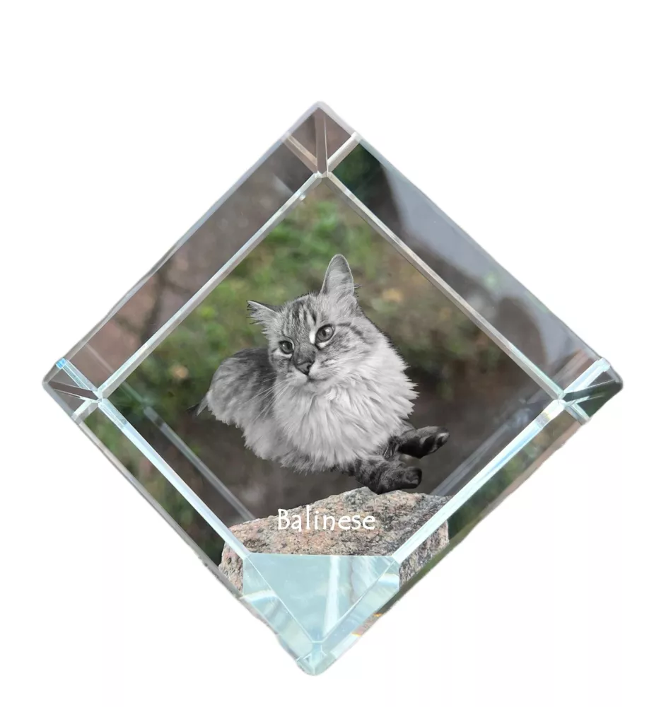 Balinese links - Kristallwürfel mit Katzenbild, Pferdebild im Kristall, sechseckiger Papierclip von der Marke Art-Dog