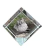Balinese left - crystal cube with a picture of a cat, crystal with a picture of a horse, cubic paperweight by Art-Dog brand