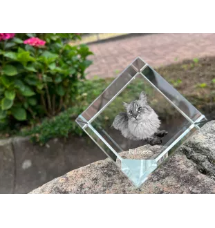Balinese left - crystal cube with a picture of a cat, crystal with a picture of a horse, cubic paperweight by Art-Dog brand