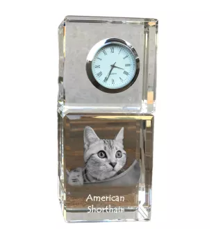 Américain à poil court - montre en cristal avec photo, photo de chat dans le cristal, horloge de bureau personnalisée de la marque Art-Dog