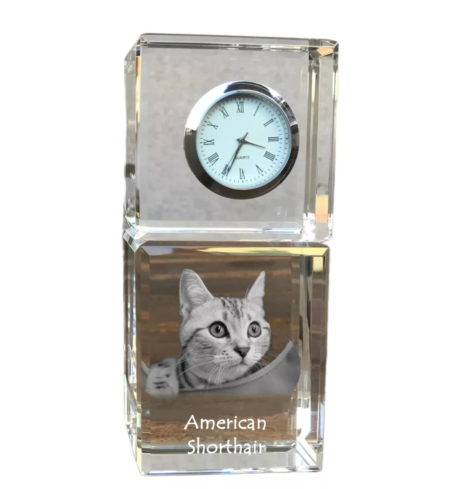 Américain à poil court - montre en cristal avec photo, photo de chat dans le cristal, horloge de bureau personnalisée de la marque Art-Dog