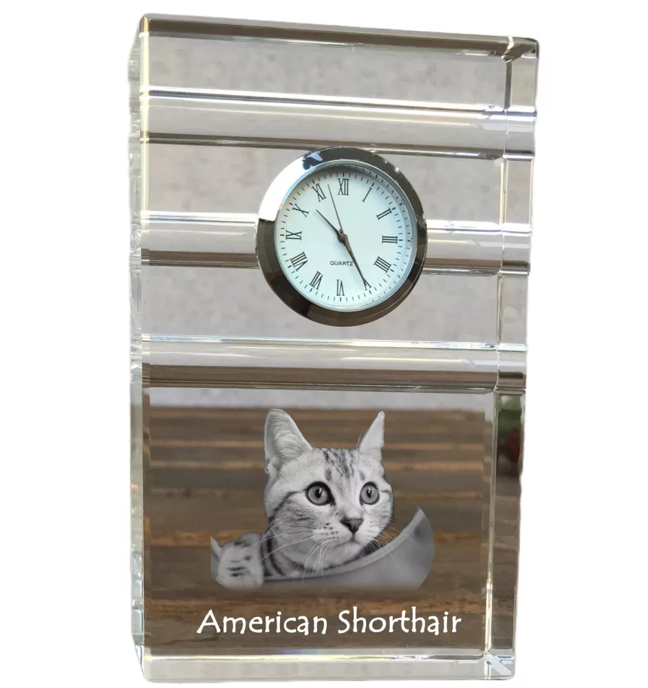 American Shorthair - glass clock with a photo, photo of a cat in crystal, personalized standing office clock by Art-Dog brand