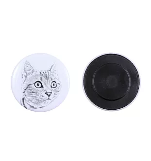 Amerykański krótkowłosy magnes z kotem mały Art-Dog