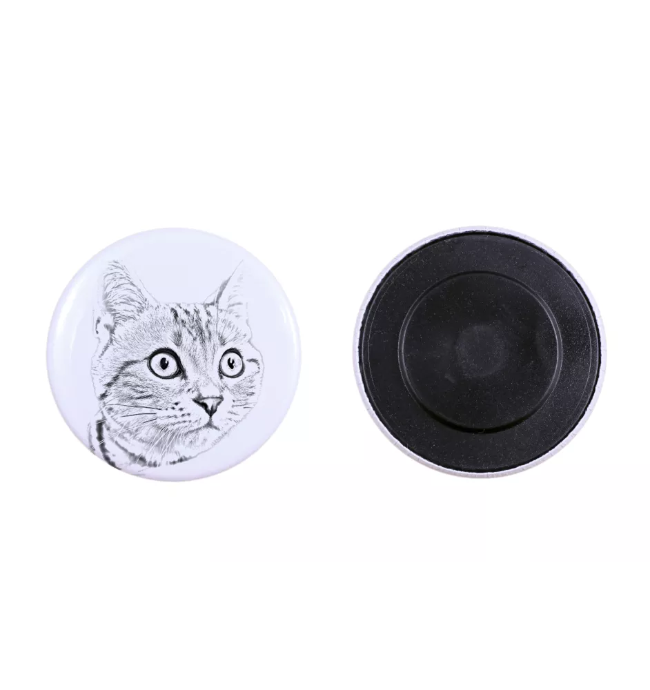 American Shorthair - collection of unique magnets, own photo, Art-Dog brand