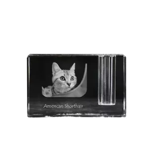 Amerikanisch Kurzhaar - Stifthalter, Kristallorganizer mit Katzenfoto, einzigartige Schreibtischdekoration der Marke Art-Dog
