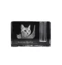 American Shorthair - Pen stand, crystal organiser with cat photo, unique desk decoration by Art-Dog brand