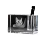 American Shorthair - Pen stand, crystal organiser with cat photo, unique desk decoration by Art-Dog brand
