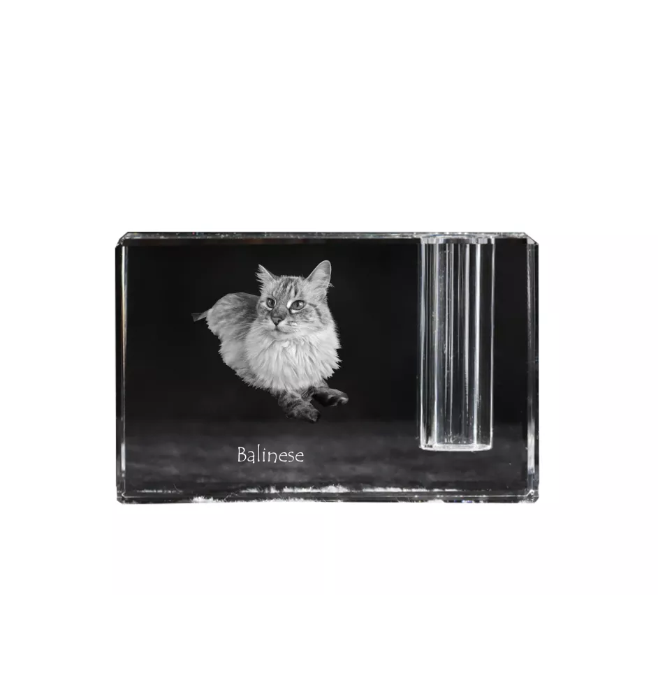 Balinais gauche - Porte-stylos, organiseur en cristal avec photo de chat, décoration de bureau unique par la marque Art-Dog