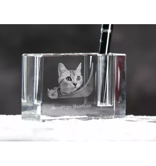American Shorthair - Pen stand, crystal organiser with cat photo, unique desk decoration by Art-Dog brand