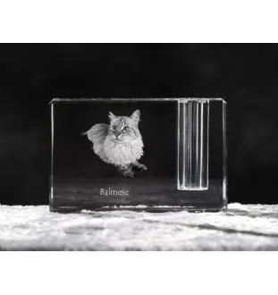 Balinais gauche - Porte-stylos, organiseur en cristal avec photo de chat, décoration de bureau unique par la marque Art-Dog